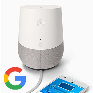 Google Home